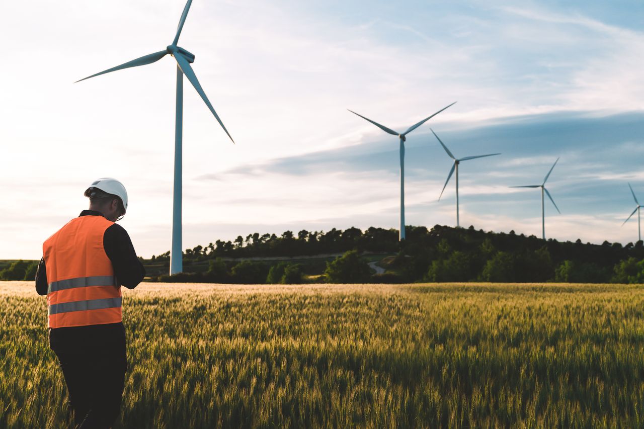 Engineer checking wind turbines out in the field
